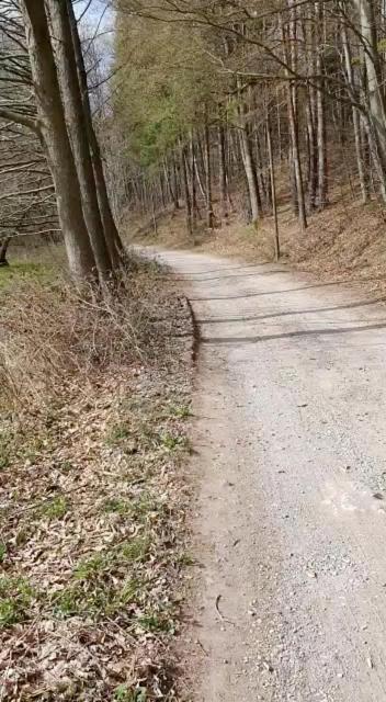 Ferienwohnung Wolf Gräfenroda Buitenkant foto