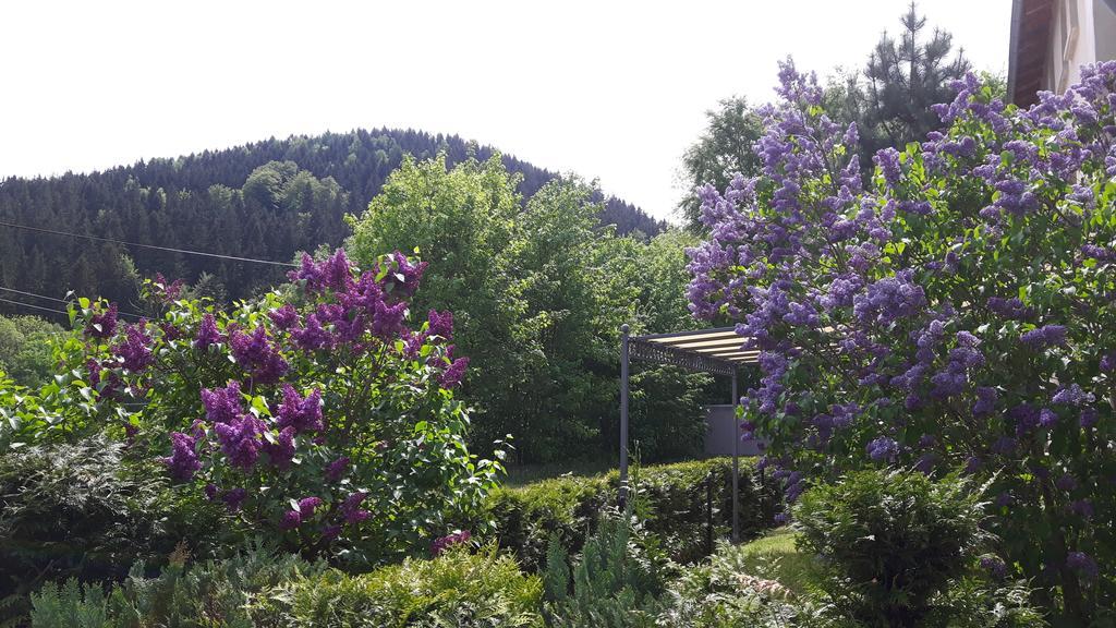 Ferienwohnung Wolf Gräfenroda Buitenkant foto